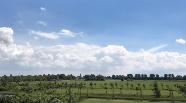 Op de Bult van Barnewiel