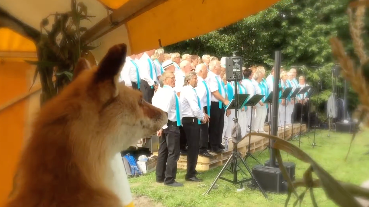 Langedijker Streekmarkt 2016